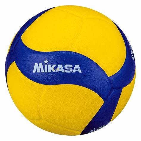 Mikasa Volleyball V320W