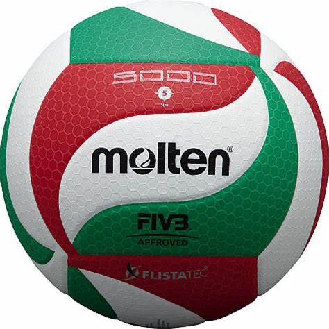 Volleyball Molten V5M5000