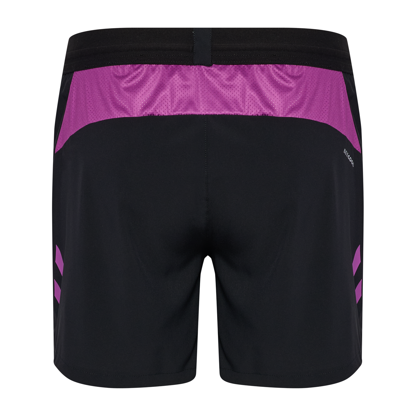 hmlBLAZE 2.0 TRAINING SHORTS Women